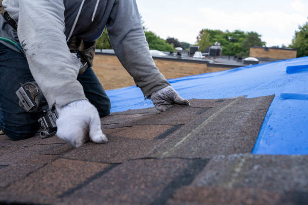 Best Roof Maintenance Services  in La Croft, OH